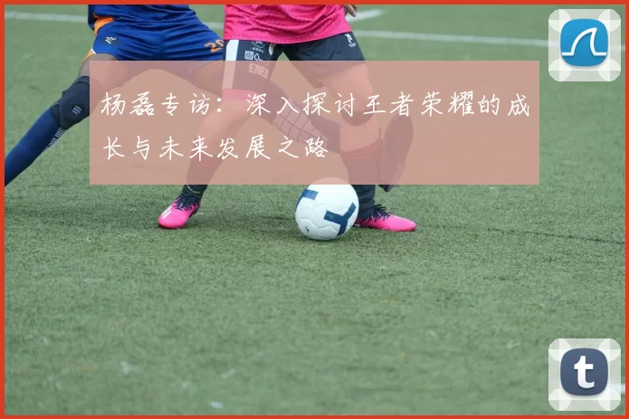 杨磊专访：深入探讨王者荣耀的成长与未来发展之路
