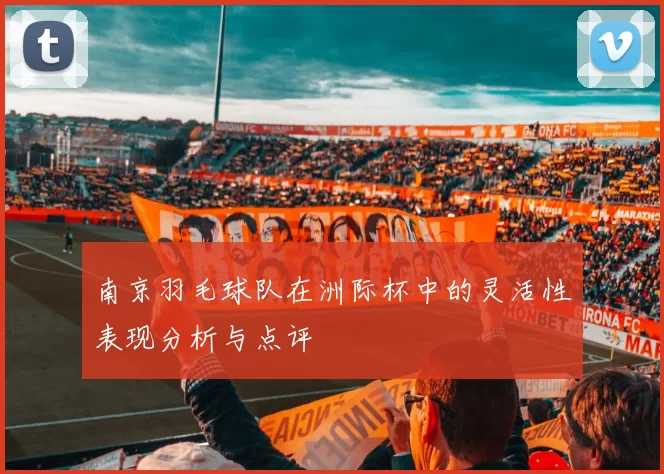 南京羽毛球队在洲际杯中的灵活性表现分析与点评