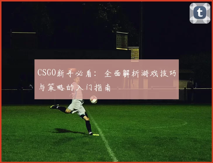 CSGO新手必看：全面解析游戏技巧与策略的入门指南