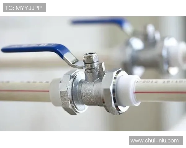 水管阀门的种类、功能及安装维护全解析，确保家庭水路安全畅通